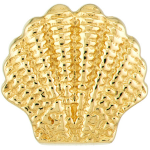 14k Yellow Gold Mini Seashell Stud Earrings