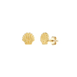 14k Yellow Gold Mini Seashell Stud Earrings