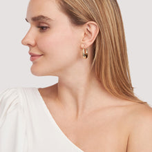 Load image into Gallery viewer, 14k Yellow Gold Graduated Puff Polished Hoops
