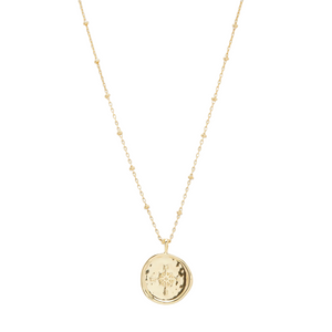 Gorjana Gold Compass Coin Necklace